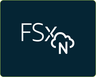 Amazon FSx for NetApp ONTAP